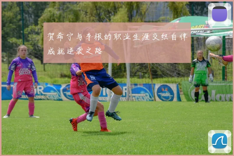 贺希宁与李根的职业生涯交织自律成就逆袭之路