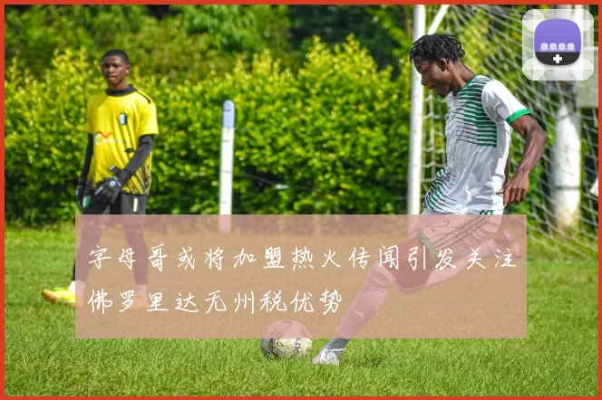 字母哥或将加盟热火传闻引发关注佛罗里达无州税优势