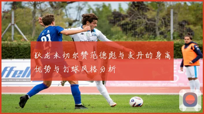 狄龙米切尔赞范德彪与麦丹的身高优势与打球风格分析