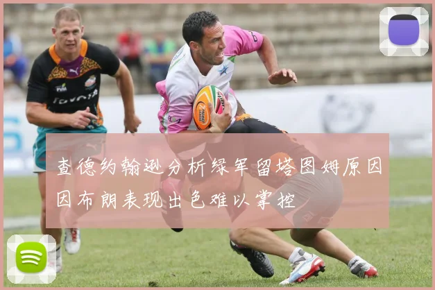 查德约翰逊分析绿军留塔图姆原因因布朗表现出色难以掌控